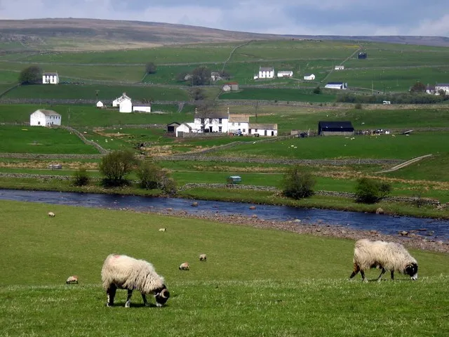 When the Flock Crosses the Line: Livestock Trespass, Psychoactive Pasture Plants, and the Legal Vacuum After a Toxicosis
